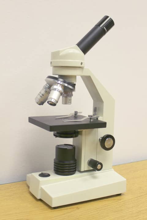 Boreal stereomicroscope