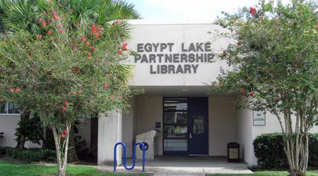Egypt Lake Partnership Library