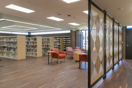 Room dividers with furniture and book shelves